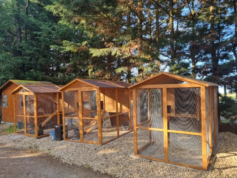 Services de pension animalier à Dampierre-sur-Avre