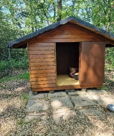 Chat relaxant dans notre pension féline à Dampierre-sur-Avre