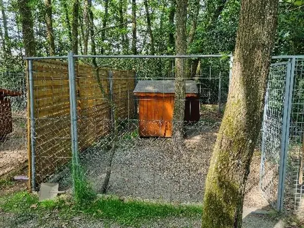 Animaux de compagnie bien soignés à Dampierre-sur-Avre