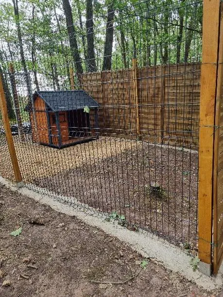 Espace spacieux pour les chats à la pension de Dampierre-sur-Avre
