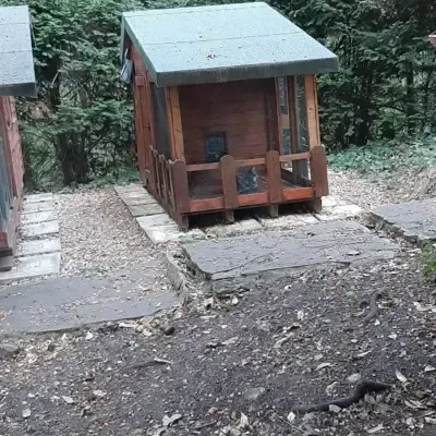 chalet individuel chat