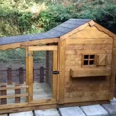 chalet chat seule