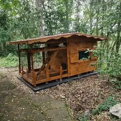 chalet familiale chat