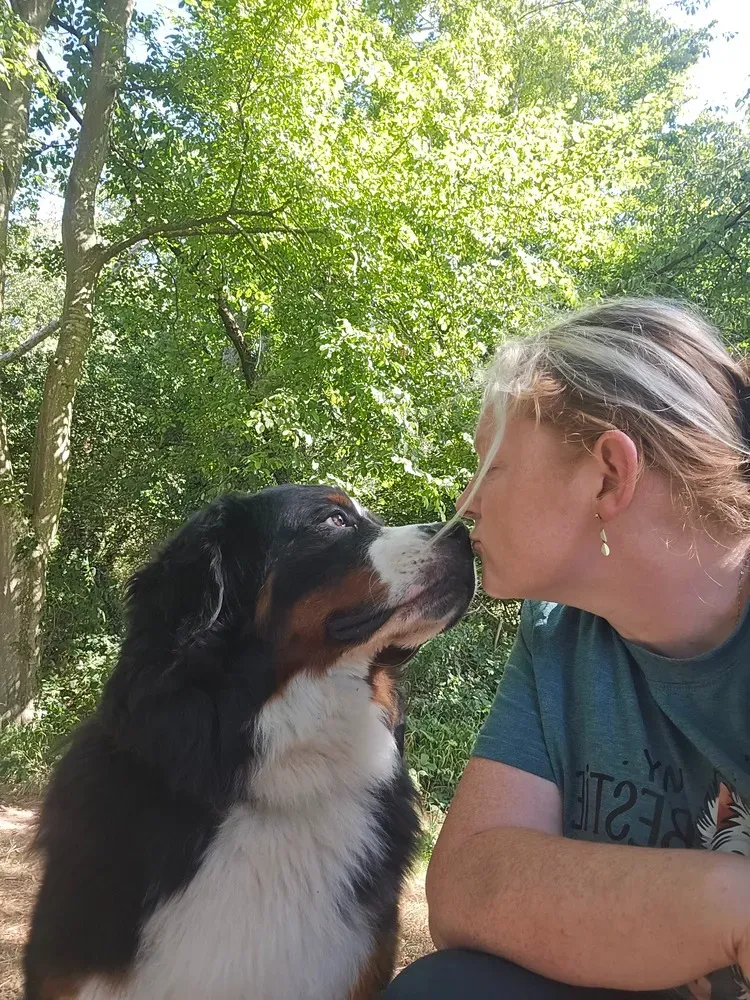 pension canine et féline (3)